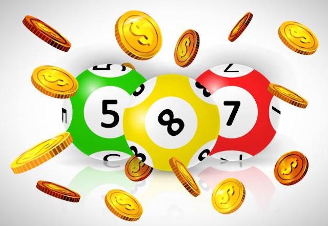 Soi 3 càng với lô quả trám